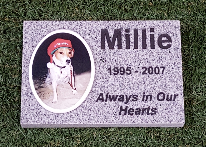 New Products Pet Memorial Stones Grave Markers Headstones Gray Granite Rectangle Memorial With Color Tile