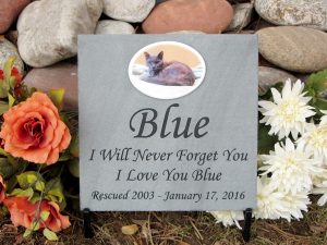 Engraved Color Photographic Pennsylvania Bluestone