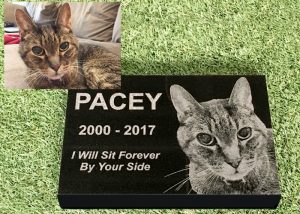 Engraved Photographic Granite Pet Memorial<br />With 5 Polished Edges