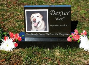 Premium Absolute Black Granite Photo Tile Pet Monument