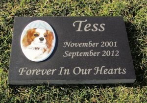 Engraved Color Photographic Granite Pet Memorial