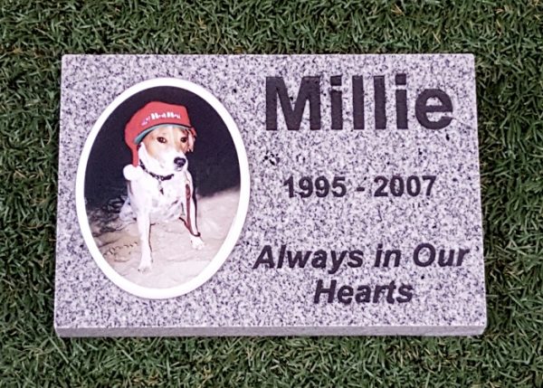 Gray Granite Rectangle Memorial With Color Tile