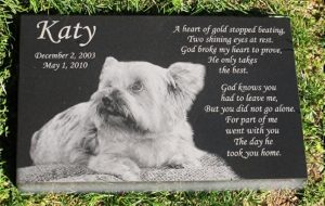 Premium Engraved Photographic Granite Pet Memorial