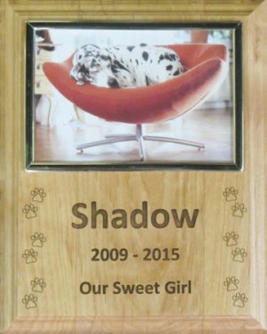 Wooden Plaque With Picture Frame