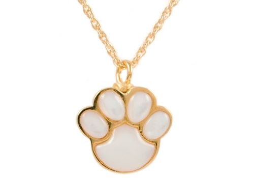 Mother of Pearl Paw Gold Pendant