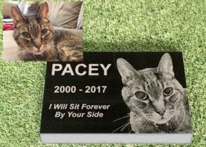 Premium Engraved Photographic Granite Pet Memorial