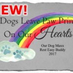 Rainbow Tablet – Dogs Leave Paw Prints