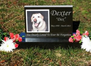 Premium Absolute Black Granite Photo Tile Pet Monument