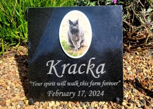 12×12 Color Photo Granite Memorial Plaque