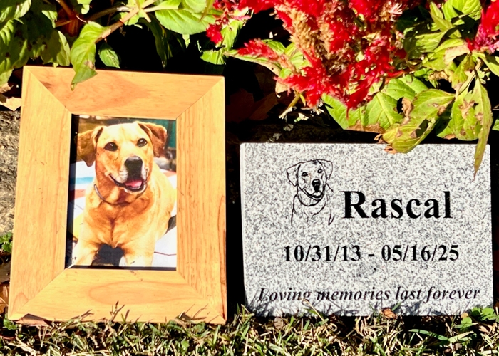 Gray Granite Photo Stone, Pet Memorial Stones