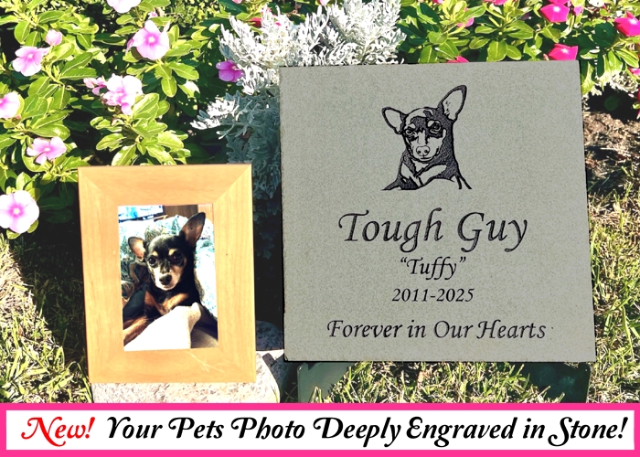 Pet Memorial Stones, Pet Grave Markers, Custom Photo Stone