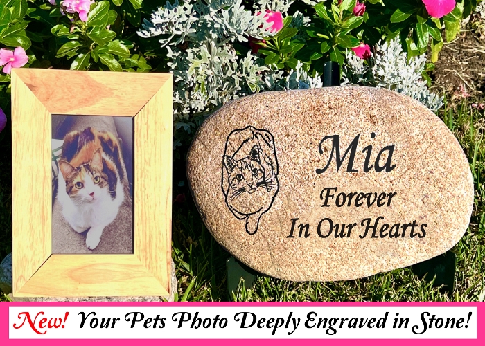 River Rock Photo Stone, pet tombstone