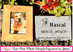 Gray Granite Photo Stone